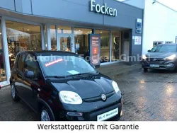 Schwarz Neu 2024 Fiat Panda Kleinwagen | 13.990 € (Fairer Preis)