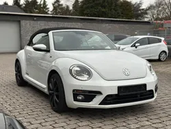 VW Beetle