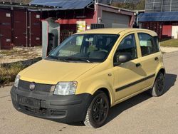 Gelb Gebraucht 2010 Fiat Panda Active Kleinwagen | 950 € (Superpreis)