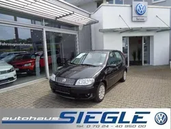 Schwarz Gebraucht 2010 Fiat Punto Kleinwagen | 2.490 €