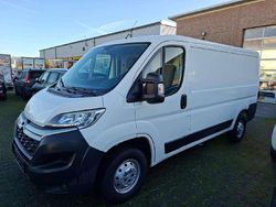 Weiß Gebraucht 2020 Citroën Jumper Van / Kleinbus | 14.990 € (Guter Preis)