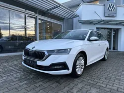 Candy weiß Gebraucht 2021 Skoda Octavia First Edition Kombi | 17.480 € (Fairer Preis)