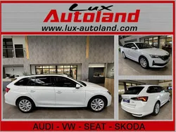 Grau Neu 2025 Skoda Octavia Selection Kombi | 33.900 € (Fairer Preis)