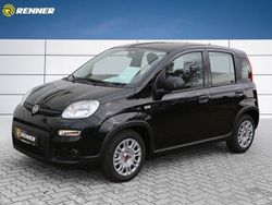 Schwarz Gebraucht 2024 Fiat Panda Kleinwagen | 12.500 € (Superpreis)
