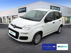 Weiß Gebraucht 2020 Fiat Panda Easy Limousine | 8.480 € (Fairer Preis)