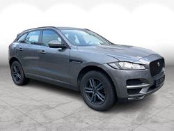 Grau Gebraucht 2016 Jaguar F-Pace SUV | 14.780 € (Etwas zu teuer)
