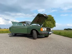 Grün Gebraucht 1978 Mercedes 280 Coupé | 8.900 €