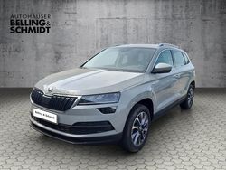 Stahl grau (grau) Gebraucht 2020 Skoda Karoq Drive SUV | 19.880 € (Fairer Preis)