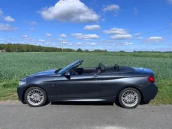 Grau Gebraucht 2015 BMW 220 M Sport Cabrio | 15.499 € (Guter Preis)