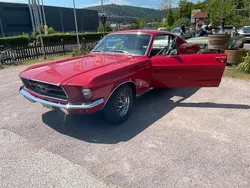 Rot Gebraucht 1967 Ford Mustang Fastback Coupé | 62.000 €