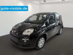 Schwarz Neu 2024 Fiat Panda Kleinwagen | 13.890 €