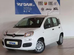 Gelato weiß Neu 2025 Fiat Panda Urban Kleinwagen | 15.440 € (Fairer Preis)