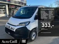 Weiss ducato weiss Neu 2024 Fiat Ducato 33 Van | 29.596 € (Guter Preis)