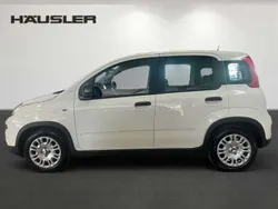 Gelato weiß Neu 2024 Fiat Panda Kleinwagen | 15.890 €