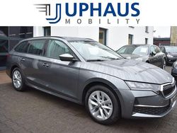 Grau Gebraucht 2025 Skoda Octavia Selection Kombi | 31.650 € (Superpreis)