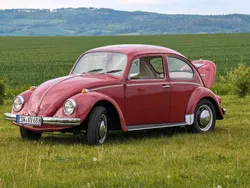VW Käfer