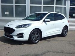 Weiß Gebraucht 2023 Ford Kuga ST-Line X SUV | 30.490 € (Teuer)