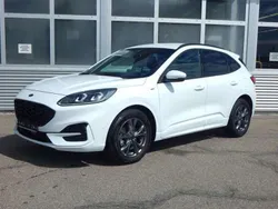 Weiß Gebraucht 2023 Ford Kuga ST-Line X SUV | 32.990 € (Teuer)
