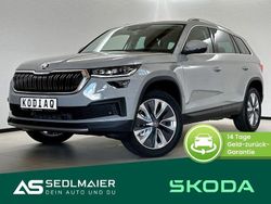 Steelgrau Gebraucht 2024 Skoda Kodiaq Style SUV | 42.990 € (Guter Preis)