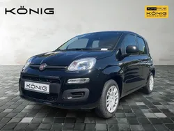 Schwarz Neu 2025 Fiat Panda Kleinwagen | 14.589 € (Fairer Preis)