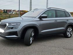 Grau Gebraucht 2023 Skoda Karoq Style SUV | 30.800 € (Fairer Preis)