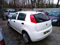 Weiß Gebraucht 2011 Fiat Punto Pop Limousine | 950 €