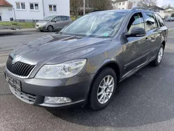 Grau Gebraucht 2013 Skoda Octavia Family Kombi | 4.900 € (Superpreis)