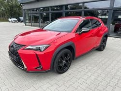 Solid red Gebraucht 2021 Lexus UX 250h SUV | 19.000 € (Guter Preis)