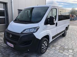 Weiß Gebraucht 2020 Fiat Ducato Van | 17.999 € (Teuer)