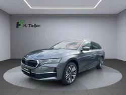 Grau Neu 2025 Skoda Octavia Tour Kombi | 38.090 € (Etwas zu teuer)