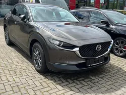 Braun Gebraucht 2020 Mazda CX-30 SUV | 17.900 €