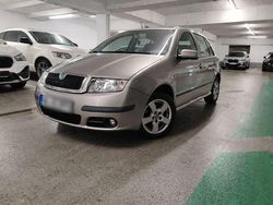 Grau Gebraucht 2007 Skoda Fabia Kombi | 2.400 € (Etwas zu teuer)