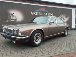 Bronze Gebraucht 1984 Jaguar XJ12 Limousine | 4.550 €