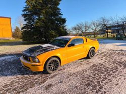 Orange Gebraucht 2007 Ford Mustang GT | 14.000 € (Fairer Preis)