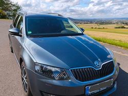 Grau Gebraucht 2016 Skoda Octavia Joy Kombi | 10.999 € (Fairer Preis)