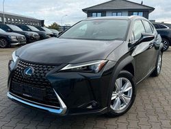 Schwarz Gebraucht 2023 Lexus UX 250h Luxury Line SUV | 26.061 € (Fairer Preis)