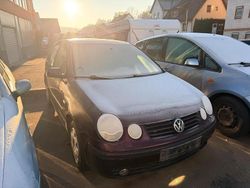 Violet Gebraucht 2002 VW Polo Limousine | 490 € (Superpreis)