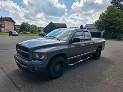 Grau Gebraucht 2004 Dodge Ram Abholung | 12.500 € (Fairer Preis)