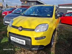 Gelb Gebraucht 2024 Fiat Panda Kleinwagen | 14.889 € (Fairer Preis)