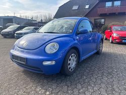 Blau Gebraucht 2000 VW Beetle Kleinwagen | 1.900 € (Teuer)