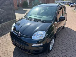 Schwarz Gebraucht 2013 Fiat Panda Kleinwagen | 5.300 € (Fairer Preis)
