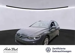 Grau (delfingrau metallic) Gebraucht 2023 VW Golf VIII Pro Kombi | 25.940 € (Guter Preis)