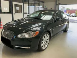 Botanical green Gebraucht 2010 Jaguar XF Premium Luxury Limousine | 13.950 € (Teuer)