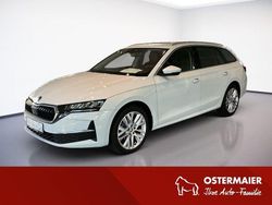 Moonweiss Gebraucht 2024 Skoda Octavia Kombi | 39.880 €