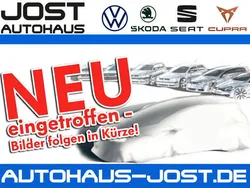 Blau Neu 2025 Skoda Kamiq Monte Carlo SUV | 29.999 € (Teuer)