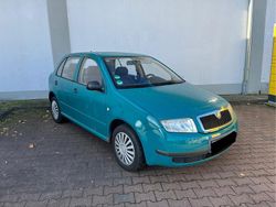 Grün Gebraucht 2003 Skoda Fabia Kleinwagen | 990 € (Guter Preis)