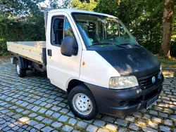Weiß Gebraucht 2006 Fiat Ducato Van | 6.500 € (Fairer Preis)