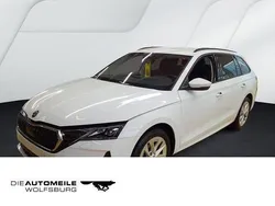 Moonweiss metallic Gebraucht 2024 Skoda Octavia Selection Kombi | 28.990 € (Guter Preis)