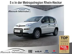 Weiss) (weiss Gebraucht 2024 Fiat Panda Kleinwagen | 14.289 € (Fairer Preis)