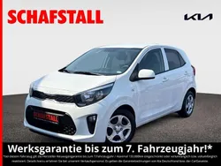 Weiss ((ud) schneeweiss) Gebraucht 2024 Kia Picanto Vision Kleinwagen | 15.479 € (Fairer Preis)